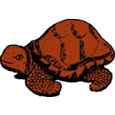 download Tortoise clipart image with 315 hue color