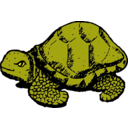 download Tortoise clipart image with 0 hue color