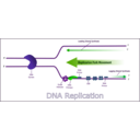 download Dna Replication clipart image with 90 hue color