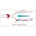 download Dna Replication clipart image with 180 hue color
