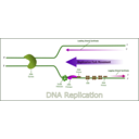 download Dna Replication clipart image with 270 hue color