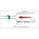 download Dna Replication clipart image with 0 hue color