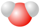 Water Molecule