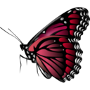 download Monarch Butterfly clipart image with 315 hue color
