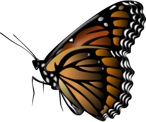 Monarch Butterfly Clipart I2clipart Royalty Free Public Domain Clipart