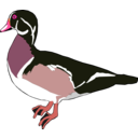 download Duck clipart image with 315 hue color