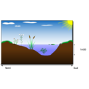 download Mare Naturelle Natural Pond clipart image with 0 hue color