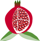 Pomegranate Fruit