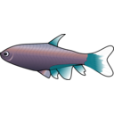 download Bloodfin Tetra clipart image with 180 hue color