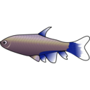 download Bloodfin Tetra clipart image with 225 hue color