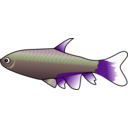 download Bloodfin Tetra clipart image with 270 hue color