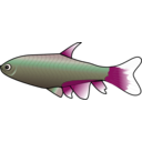 download Bloodfin Tetra clipart image with 315 hue color