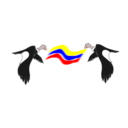 download Condor Colombiano clipart image with 0 hue color