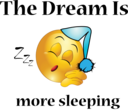 More Sleeping Dream Smiley Emoticon