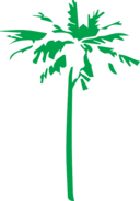 Palm