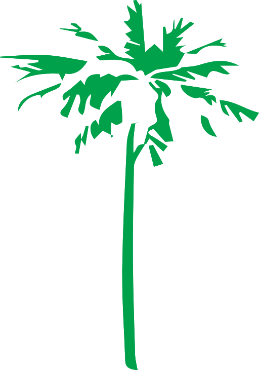 Palm