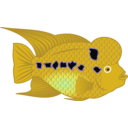download Flowerhorn Fish clipart image with 45 hue color