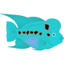 download Flowerhorn Fish clipart image with 180 hue color
