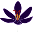 download Crocus Blossom clipart image with 0 hue color