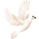download Peace clipart image with 180 hue color
