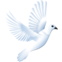 download Peace clipart image with 0 hue color
