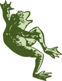 Dancing Frog