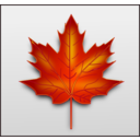 download Maple Leaf clipart image with 0 hue color