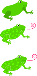 Frog Granota Grenouille