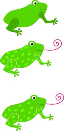 Frog Granota Grenouille