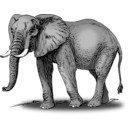 download Colored Elephant clipart image with 180 hue color