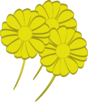 Yellow Flowers