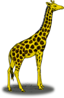 Colored Giraffe