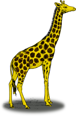 Colored Giraffe