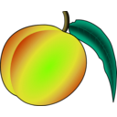 download Peach clipart image with 45 hue color