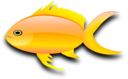 Pez Dorado Gold Fish