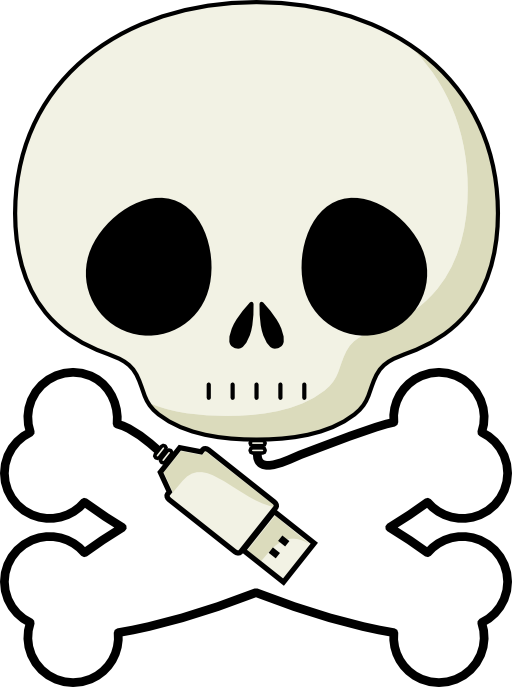 Logo Skull Hyf