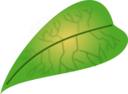 Green Leaf