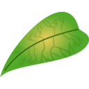 download Green Leaf clipart image with 0 hue color