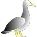 download Jonathons Duck clipart image with 0 hue color