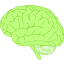 download Brain In Profile clipart image with 90 hue color