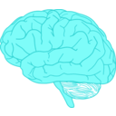 download Brain In Profile clipart image with 180 hue color
