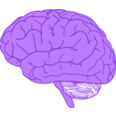 download Brain In Profile clipart image with 270 hue color