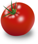 Tomate