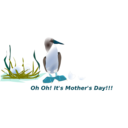 download Sea Bird clipart image with 0 hue color