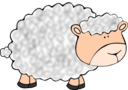 Funny Sheep