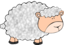 Funny Sheep