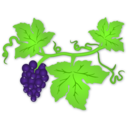 download Grapes clipart image with 0 hue color