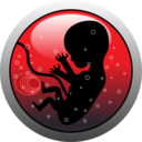 Human Embryo Silhouette