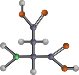 Aspartic Acid Amino Acid