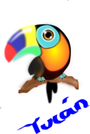 Tucan Colombiano